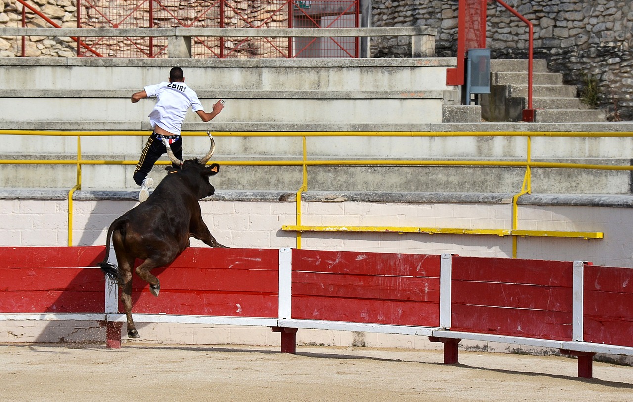 每一步選擇