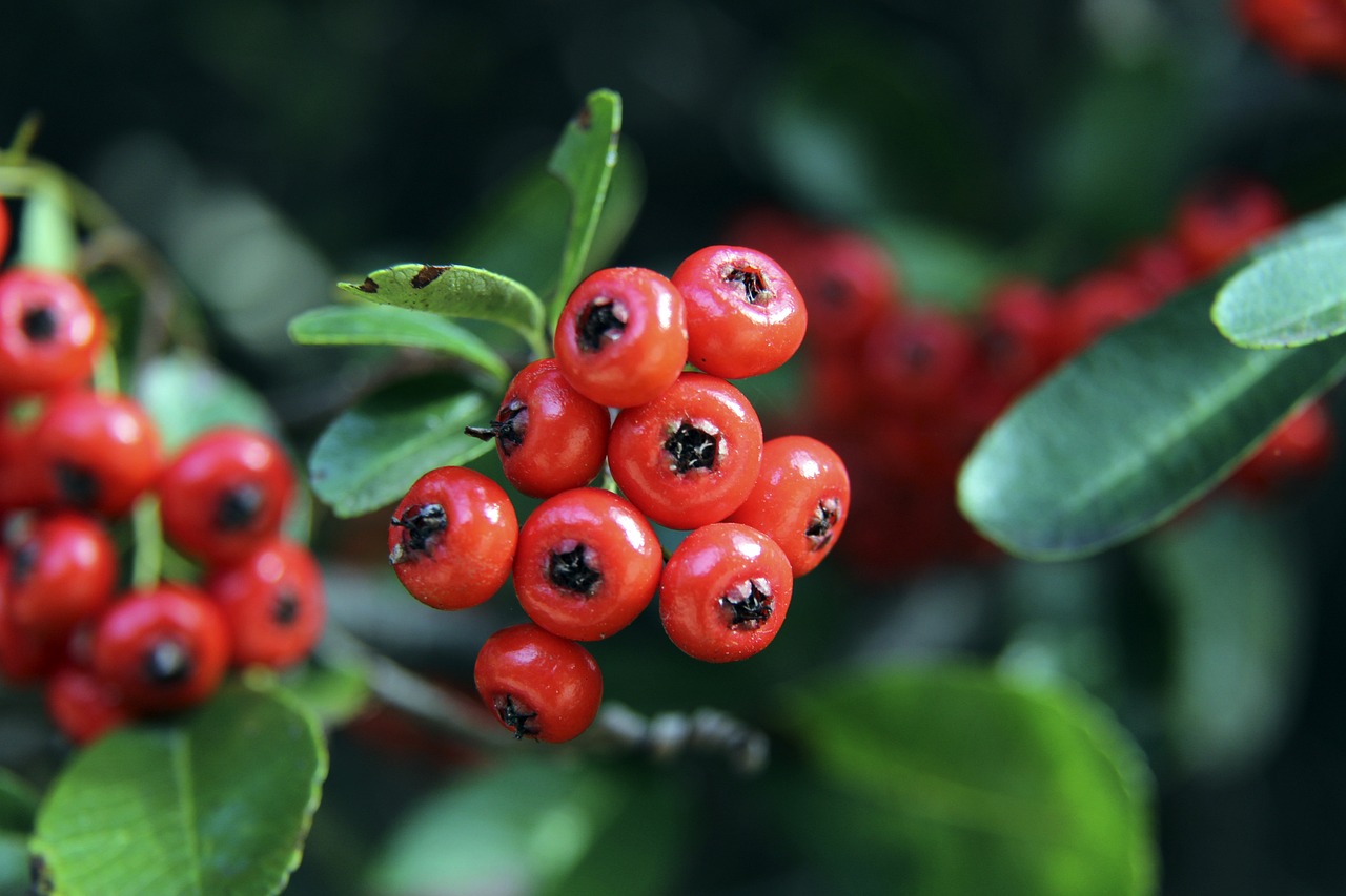 中国在冬季 中国在冬季