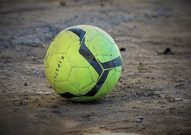 的靈活性 的靈活性